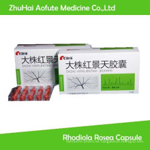 Health Food Medicine Suplemento Rhodiola Rosea Cápsula